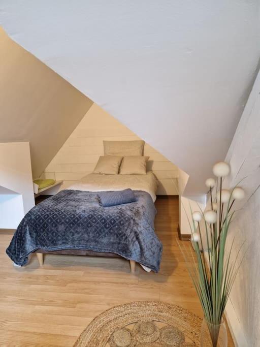דירות Le Petit Loft, Mulhouse Centre מראה חיצוני תמונה