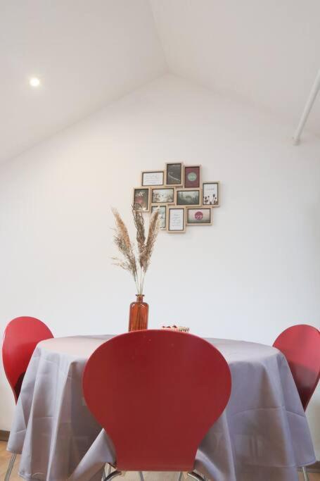 דירות Le Petit Loft, Mulhouse Centre מראה חיצוני תמונה