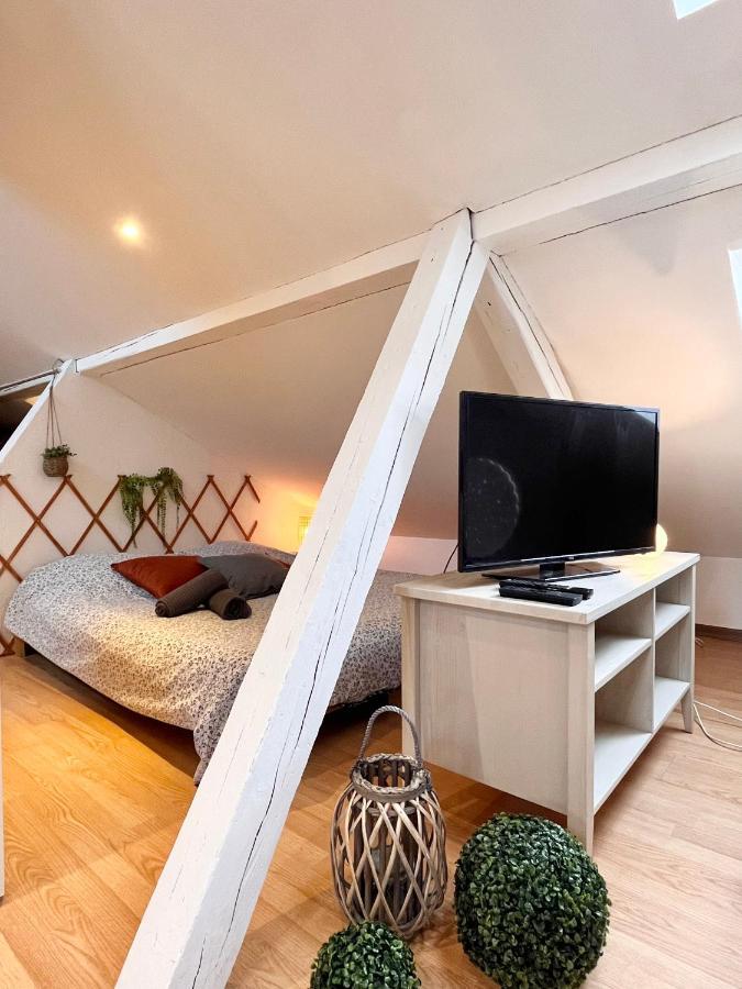 דירות Le Petit Loft, Mulhouse Centre מראה חיצוני תמונה